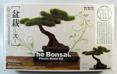 Bonsai 2 - Platz