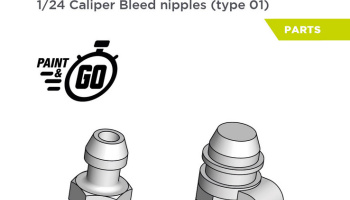 Caliper bleed nipples - Type 01 1/24 - Decalcas