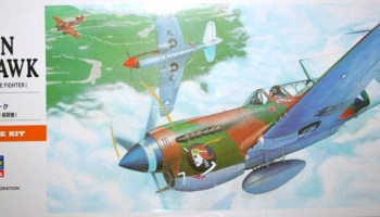 P-40N Warhawk (1:72) - Hasegawa