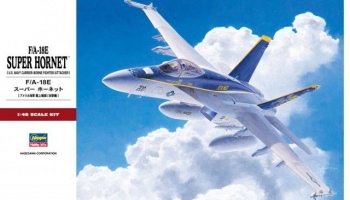 F/A-18E Super Hornet (1:48) - Hasegawa