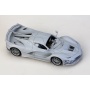 1/24 Ferrari FXX K EVO（Version B) (pre-order, předobjednávka) - Alpha Model