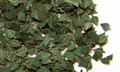 1/35 Green leaves-birch