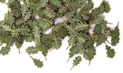 1/35 Green leaves – oak