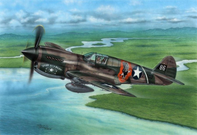 1/7 2P-40E Warhawk 'Claws and Teeth'