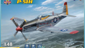 1/48 P-51H Mustang