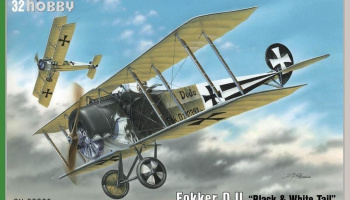 1/32 Fokker D.II Black & White Tail