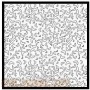 35% SLEVA 35% DISCOUNT - Comp. Fiber Decal Boomerang Black & Clear (1950's) - Scale Motorsport