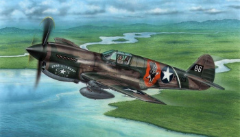1/7 2P-40E Warhawk 'Claws and Teeth'