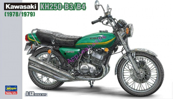 BK-8 Kawasaki KH250-B3/B4 (1978/1979) 1/12 - Hasegawa