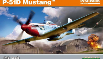 1/48 P-51D Mustang