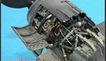 1/48 Fw 190 A8 - engine set for TAM (BMW-801)
