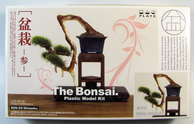 Bonsai 3 - Platz