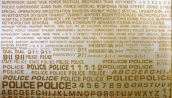 Generic Police & Special Units Decals: Tactical Response, Bomb Squad & 911 (Gold) - Chimneyville