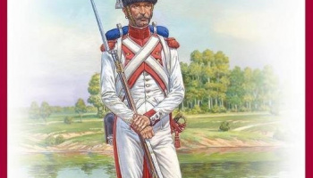 1/16 Imperial Dutch Grenadier. Napoleonic Wars.