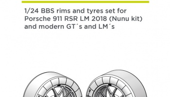 Porsche 911 991 GT3 RSR 1/24 - Decalcas