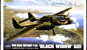 WWII USAAF Northrop P-61A 'Black Widow' Glass Nose /w New Tools Parts 1/48 - G.W.H.
