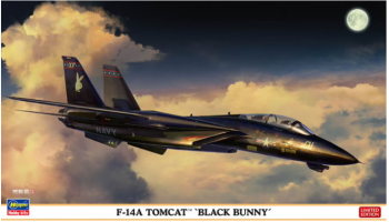 F-14A Tomcat `Black Bunny` 1/72 - Hasegawa