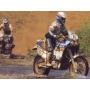 HONDA NXR 750 Paris-Dakar 1986 Decals 1/12 - Blue Stuff
