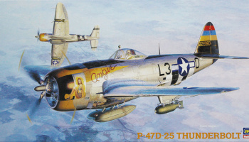 P-47D-25 Thunderbolt (1:48) - Hasegawa
