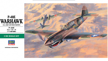 P-40E WARHAWK (1:48) - Hasegawa