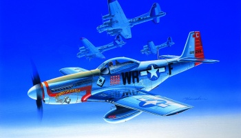 Model Kit letadlo 12485 - P-51D (1:72) - Academy