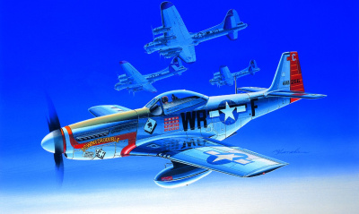 Model Kit letadlo 12485 - P-51D (1:72) - Academy