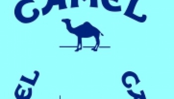 Williams FW14, FW14B, FW15C Camel Tobacco Supplementary Decal 1/24 - MSM Creation