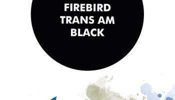 Firebird Trans Am Black Paint for airbrush 30ml - Number Five