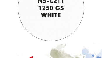 1250 GS White Paint for airbrush 30ml - Number Five