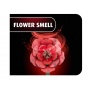 REVELL Flowers 00631 - Dream of Roses - Revell
