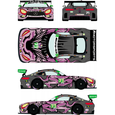 SLEVA 20% DISCOUNT - Merdeces AMG GT3 Rolex 24h of Daytona 2019 1/24 - Racing Decals 43